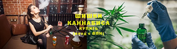 тгк Бородино