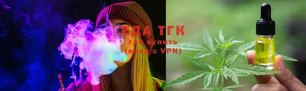 шишки Верхний Тагил