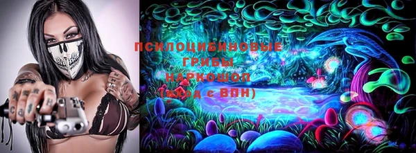 тгк Бородино
