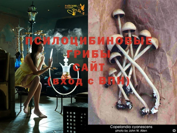винт Бугульма