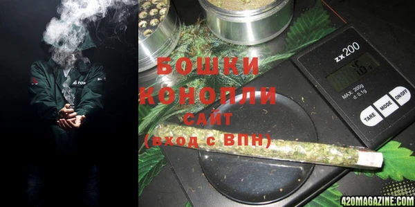 тгк Бородино