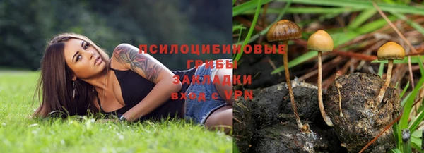 винт Бугульма